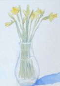 DR FIONA RAWLINSON watercolour - entitled verso 'Early Daffs', signed verso, 28 x 20cms