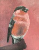 CARYS EVANS mixed media on board - Bullfinch, signed and dated 2025 verso, 39 x 29cms Provenance: