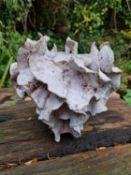 BEVERLEY BELL HUGHES (b. 1948) stoneware, reduced fired ceramic - Tidal Pot, 23 (h) x 22cms (w)