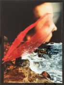 Cécile Bauer (1941 Düsseldorf)