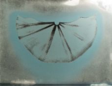 Heinz Mack (1931 Lollar) (F)