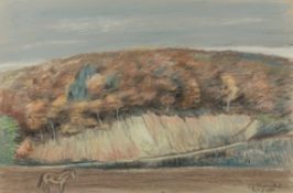 Landschaft mit Pferd