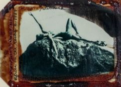 Peter Beard (New York 1938 - 2020)