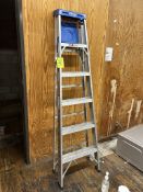 WERNER 6' LADDER