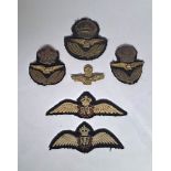 WW1.UK.RFC/RAF Cap & Wing Badge Lot