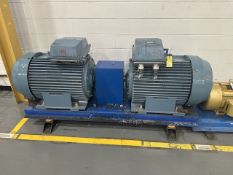 Dual Motor Test Unit 110 kW Motors, Removal/ Loading Fee: $125