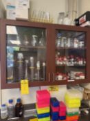 Lot of Contents of Cabinet and Items on Top of Cabinet (All Photoed), Includes Graduated