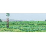 Bräckle, Jakob Winterreute 1897 - 1987