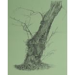 Sprotte, Siegwarth Potsdam 1913 - 2004