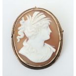 Kamee-Anhänger um 1900, Muschelkamee,