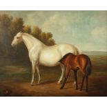 Maler des 19. Jh. "Weiße Stute mit