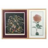 Lang, Fritz Stuttgart 1877 - 1961, war