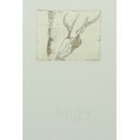 Beuys, Joseph Krefeld 1921 - 1986