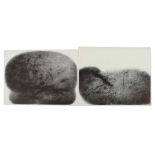 Knaupp, Werner geb. 1936 in Nürnberg,