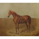 Adam, Albrecht Nördlingen 1786 - 1862