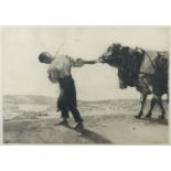 Eckener, Alexander Flensburg 1870 -