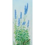 Bräckle, Jakob Winterreute 1897 - 1987