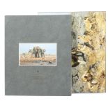 Shepherd, David England 1931 - 2017,