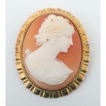 Kamee-Brosche 20. Jh., Gelbgold 585,