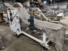 Mesh Conveyor and K-Topper Applicator