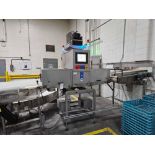 Loma Systems X4-600 X-Ray System