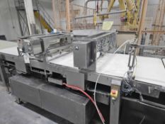 Smooth Top Flat Belt Conveyor Transfer System with 2 Flour Dusters - Subject to Bulk