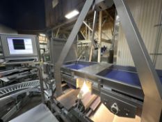 Affeldt AVN 276.3 Camera Counting Machine