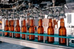 Quarterly Beverage Processing and Packaging Equipment Auction