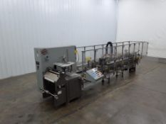 Bartelt IM 9-14 Pouch Form Fill and Seal with Auger Filler Head