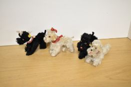 Four Steiff Poodles, two black with yellow tags and metal buttons and two white with metal buttons