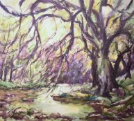 Artist unknown, a 20th century woodland scene watercolour, indistinctly signed lower left, within