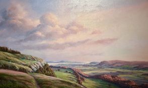 Local interest* P.H Marriner (British 20th century) oil on board, pleasing local landscape, signed