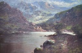 Local interest* Henry Cooper (British 1859-1934) oil on canvas 'Ullswater North' signed lower right,