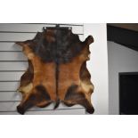 A Wild Boar hide measuring approx 80cm x 70cm