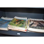 A Shelf of 'Guns Review' Magazines 1960s, 1970s and 1980s