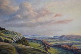 Local interest* P.H Marriner (British 20th century) oil on board, pleasing local landscape, signed