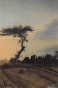 B Sing (20th century) charcoal and chalks, landscape and dusk with prominent tree, signed lower