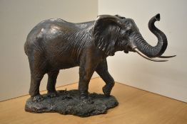 A large cast resin Elephant study, measuring 30cm tall, no markings/signatures apparent.