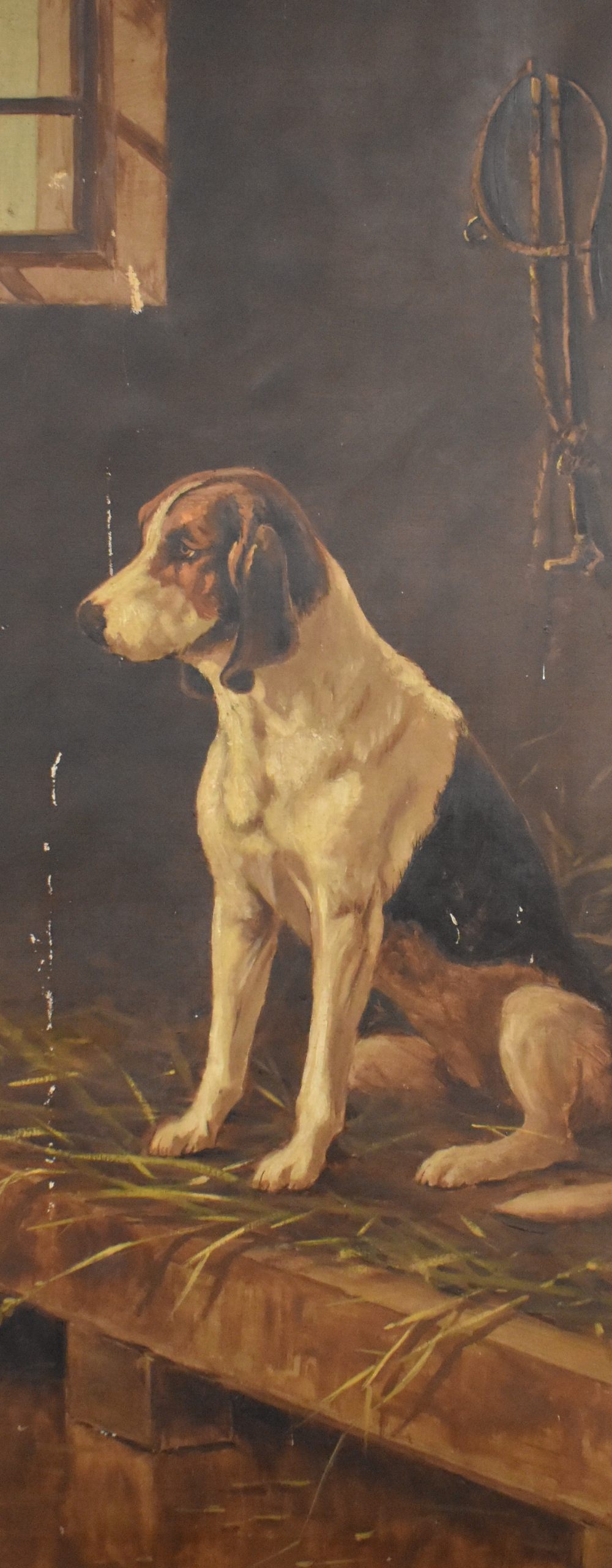 An early 20th century English school oil on canvas, Foxhound within a stable setting, unsigned,