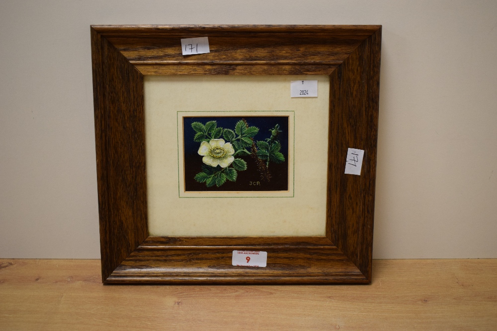 Local interest* Jonathon C. Pearson (British 20th century) acrylic on board 'Dog Rose' initialled - Image 2 of 5