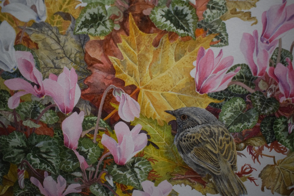 Elizabeth Walsh (British 1945) Watercolour 'Before the Frost' depicting a small bird possibly a - Image 3 of 6