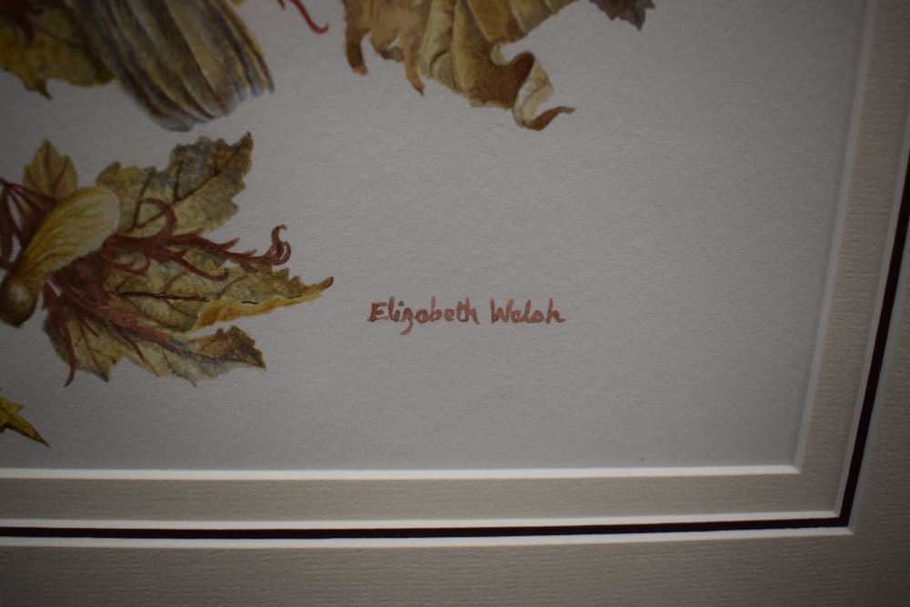 Elizabeth Walsh (British 1945) Watercolour 'Before the Frost' depicting a small bird possibly a - Image 4 of 6