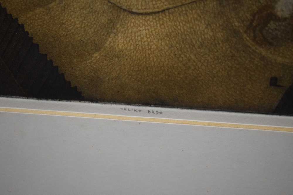 After Emir Dragulj (Bosnian 1939 - 2002) Aquatint/etching 'Veliko Brdo' an interesting scene - Image 5 of 8