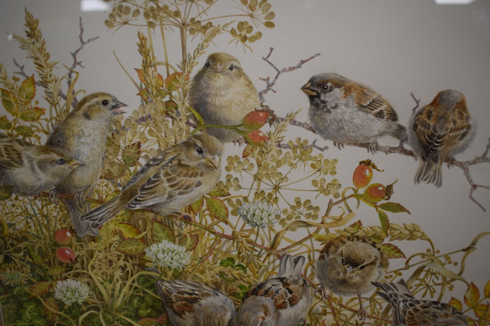 Elizabeth Walsh (British 1945) Watercolour 'No Shortage of Sparrows', depicting a group of the small - Image 3 of 5