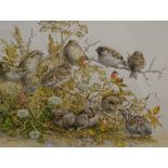 Elizabeth Walsh (British 1945) Watercolour 'No Shortage of Sparrows', depicting a group of the small