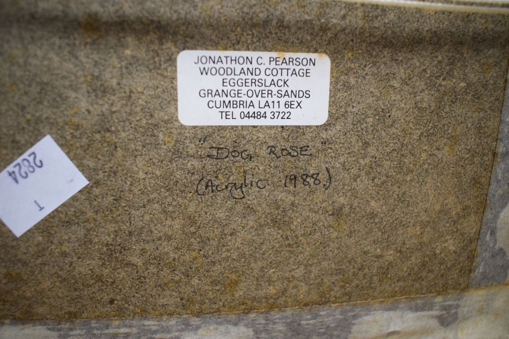 Local interest* Jonathon C. Pearson (British 20th century) acrylic on board 'Dog Rose' initialled - Image 5 of 5