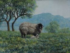 Local interest* Stephen J. Darbishire (British b1940) oil on board 'Blackie & Her Lamb' pastoral
