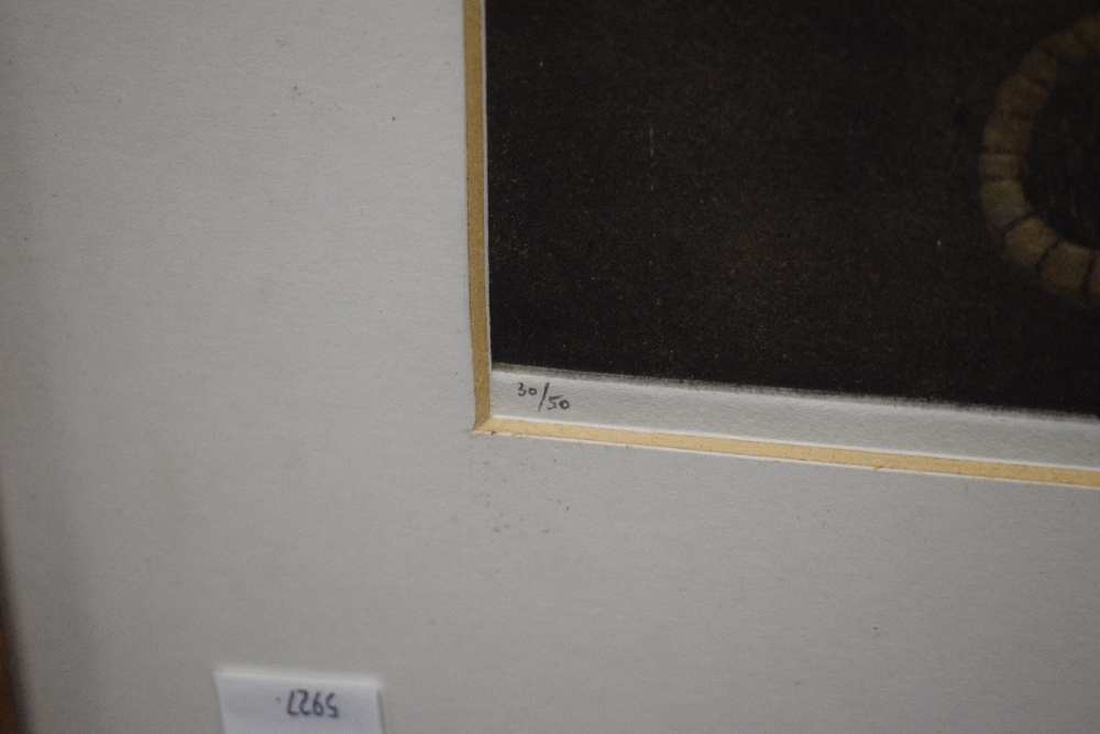 After Emir Dragulj (Bosnian 1939 - 2002) Aquatint/etching 'Veliko Brdo' an interesting scene - Image 6 of 8