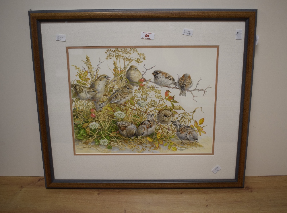 Elizabeth Walsh (British 1945) Watercolour 'No Shortage of Sparrows', depicting a group of the small - Image 2 of 5