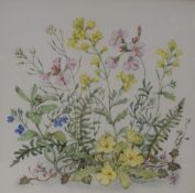 Patience Arnold (British 1901-1992) Watercolour, a study of wildflowers, signed lower right,